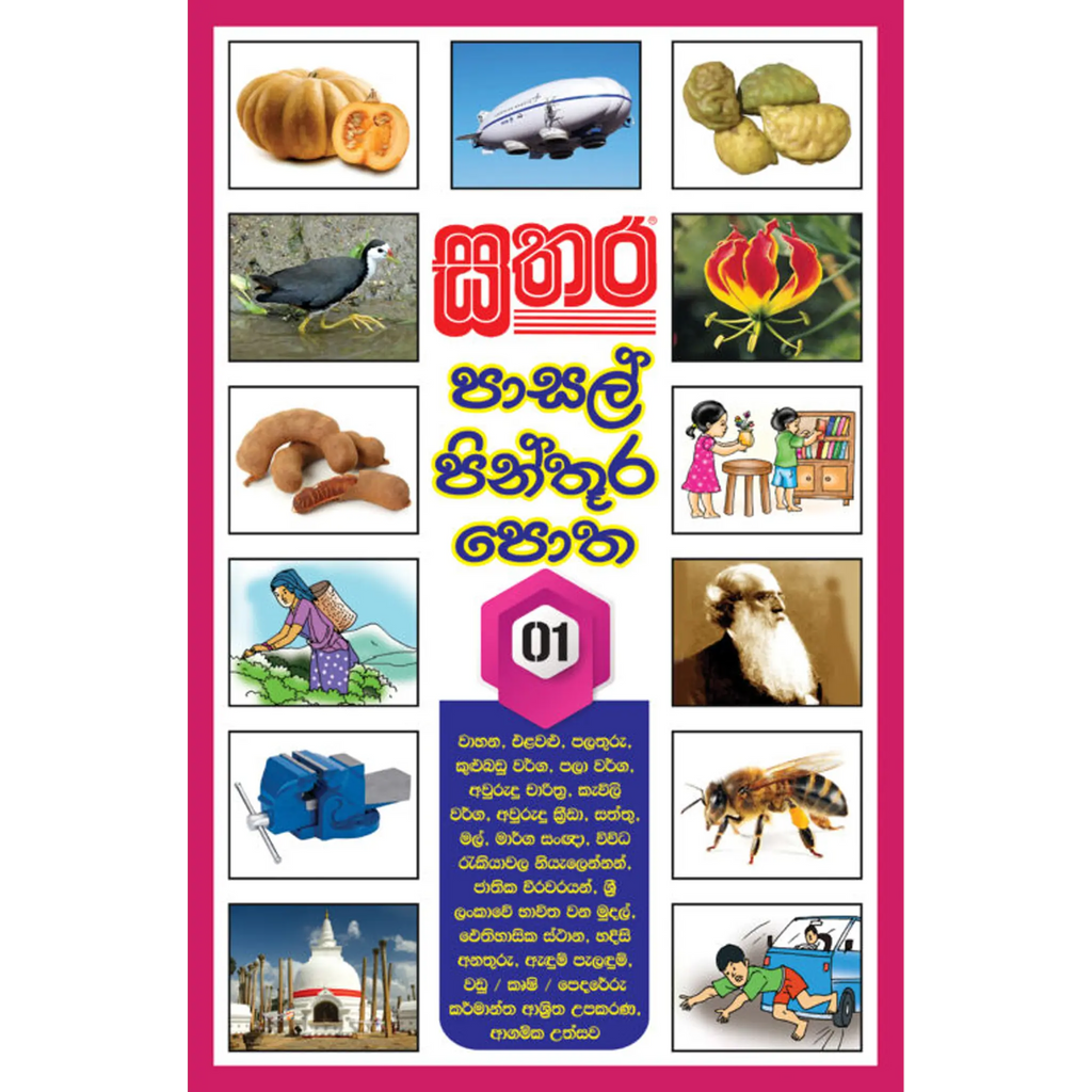 පාසල් පින්තූර පොත - 1