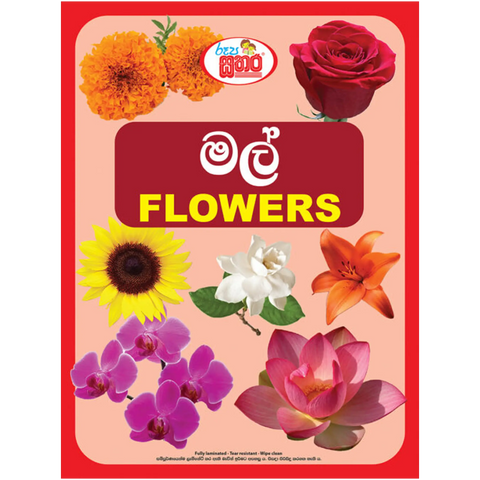 රූප සතර - මල් (Flowers)
