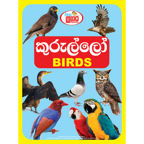 රූප සතර - කුරුල්ලෝ (Birds)